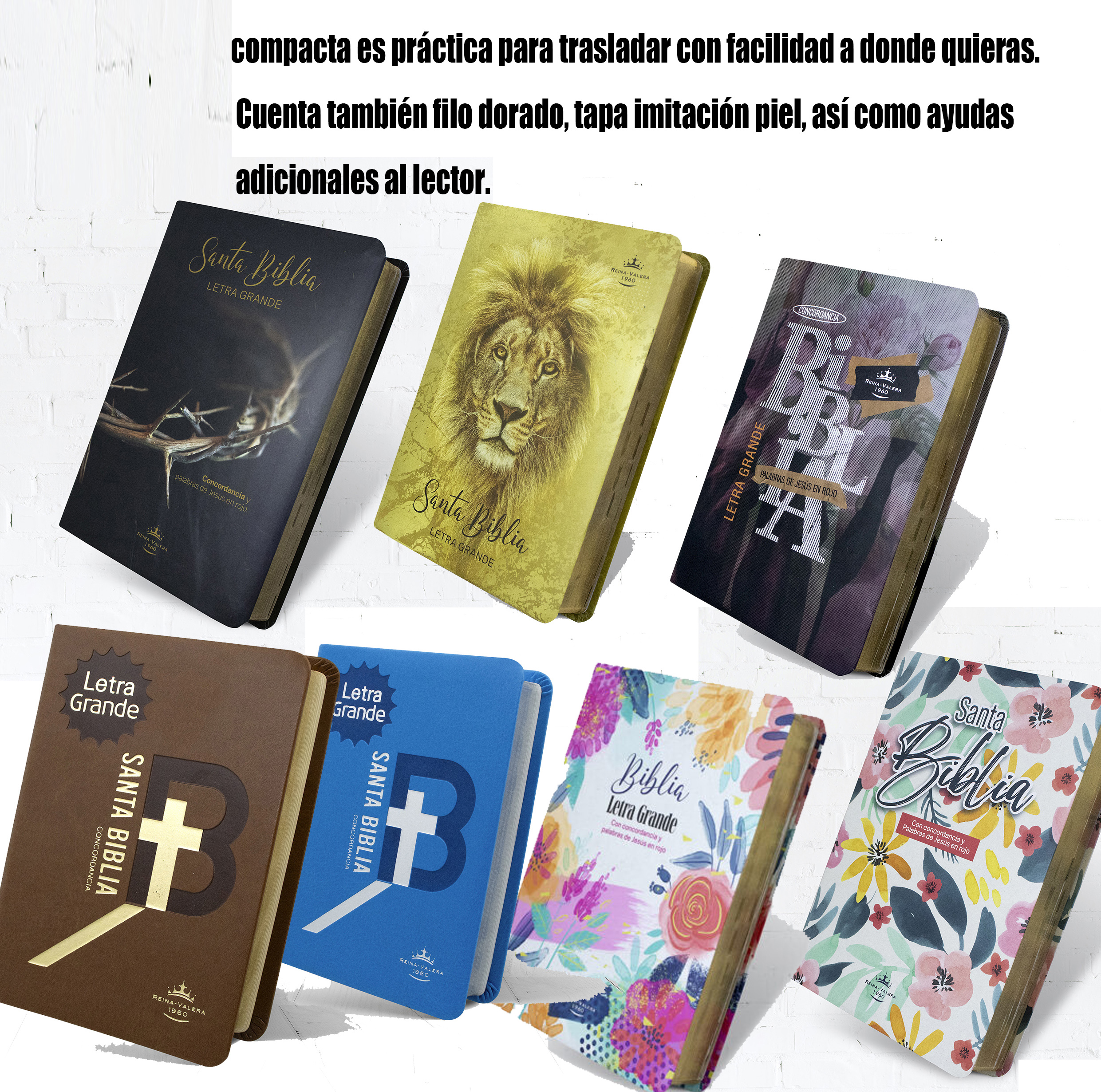📖 Biblia Reina Valera para Hombres y Mujeres – Fortaleza, Fe y Dirección Diaria